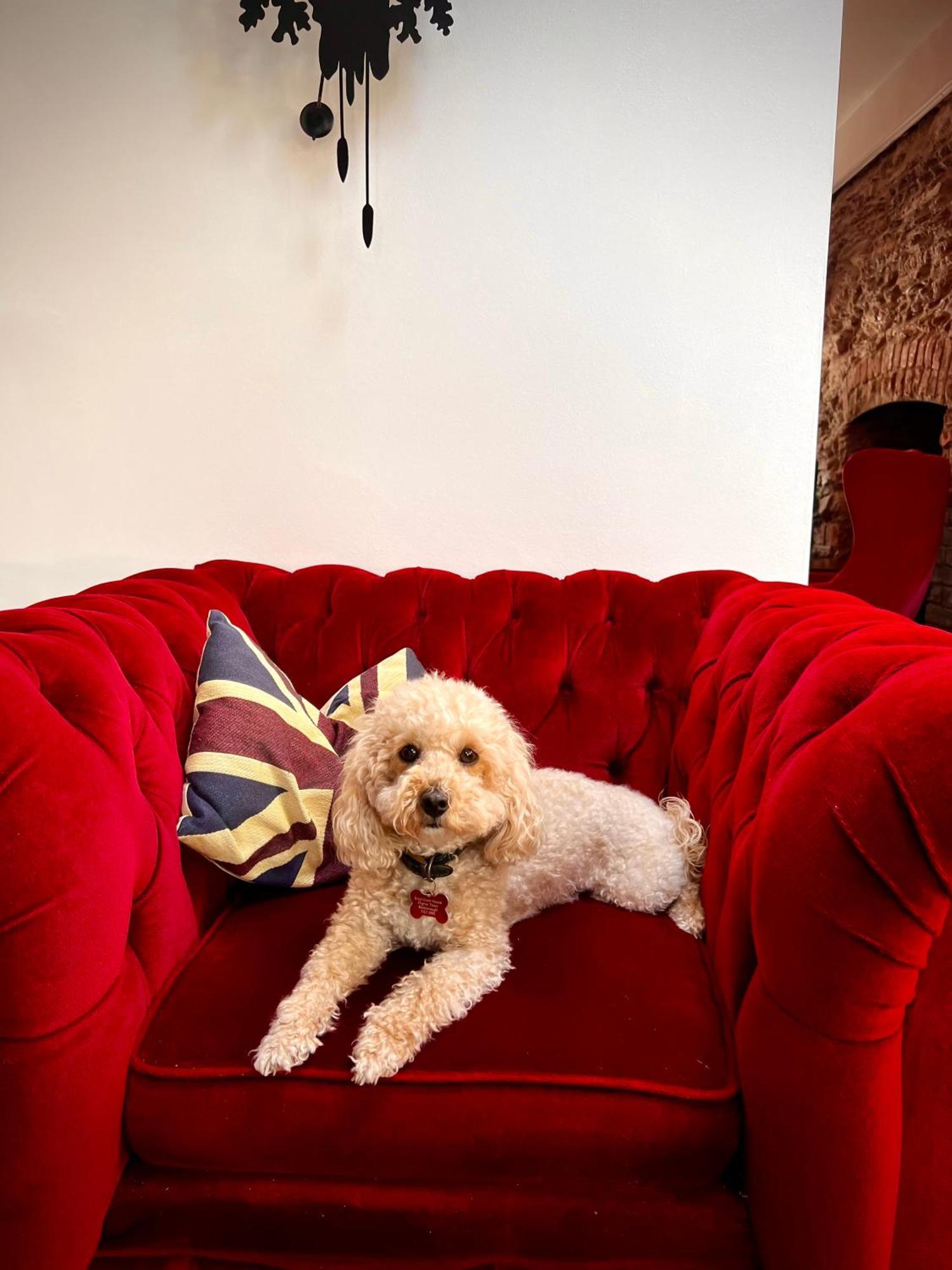 Brightham House - Exclusively For Adults Bed & Breakfast Salcombe