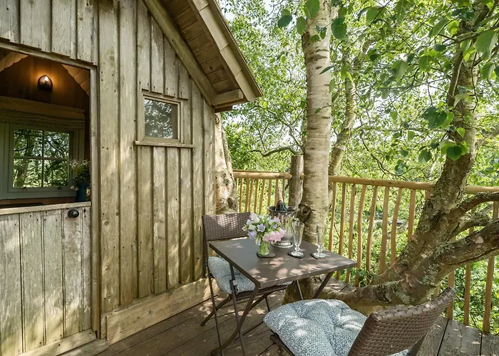 The Treehouse At Salcombe Farm
